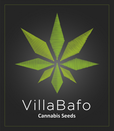 Villabafo-Thessaloniki Cannabis Seedbank