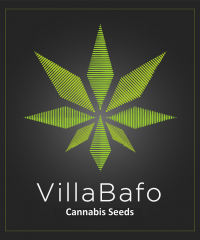 Villabafo-Athens Cannabis Seedbank