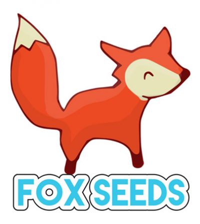 Foxseeds Herblay 95