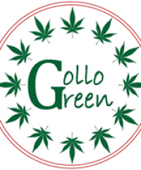 Gollo Green