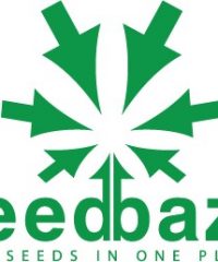 Seedbaza