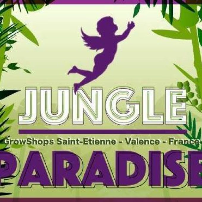 Jungle Paradise