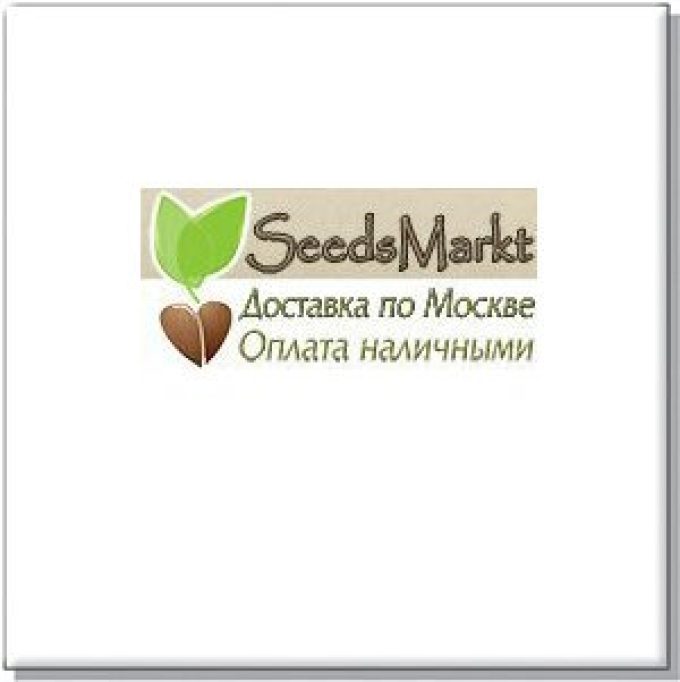 SeedMarkt