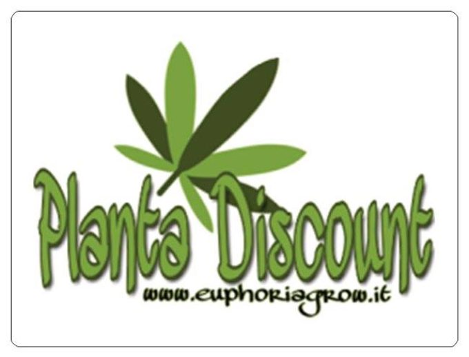 Planta Discount Growshop