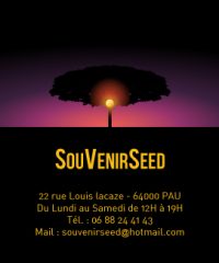 Souvenir seed Pau