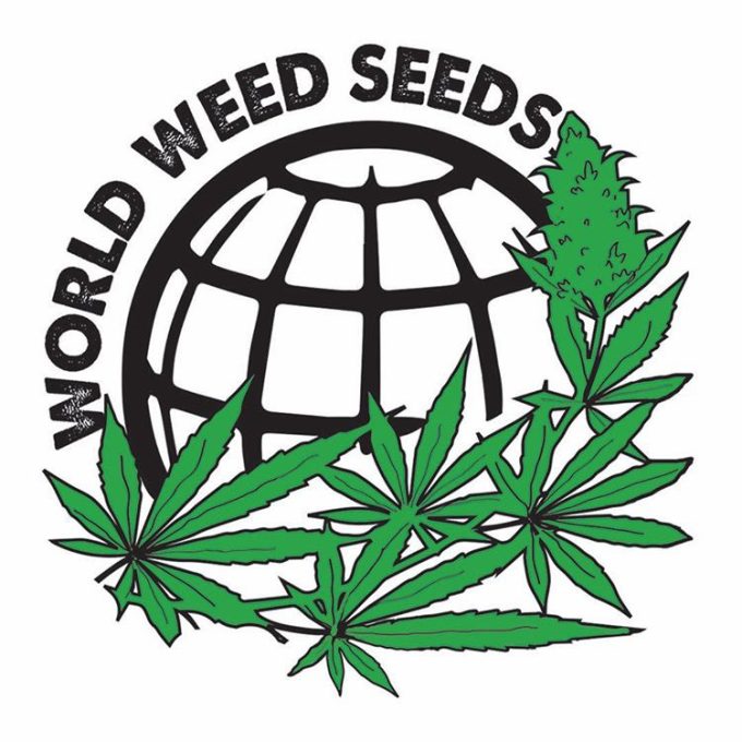 WorldWeedSeeds