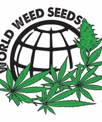 WorldWeedSeeds