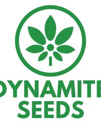 Dynamiteseeds