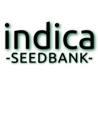 Indica-Seedbank