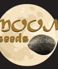 MooN SeeDS