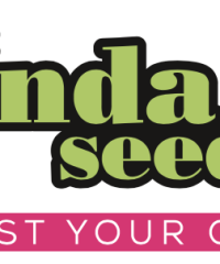 Linda Seeds