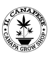 Il Canapese Growshop