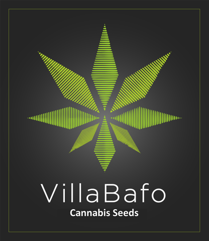 Villabafo-Thessaloniki Cannabis Seedbank