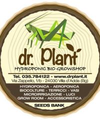 Dr. Plant