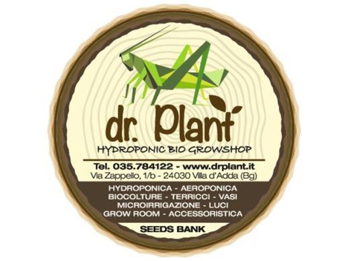 Dr. Plant