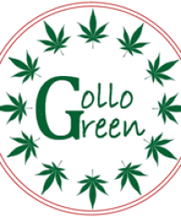 Gollo Green