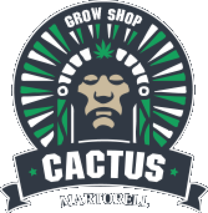 Cactus Martorell