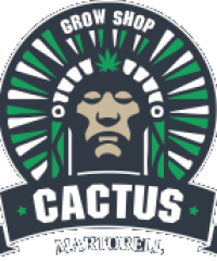 Cactus Martorell