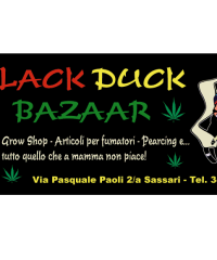 Black Duck Bazaar