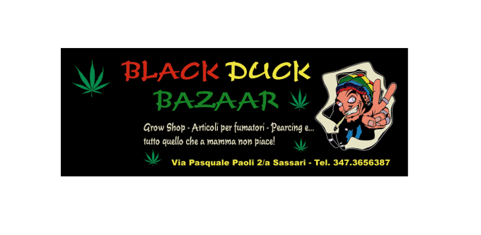 Black Duck Bazaar