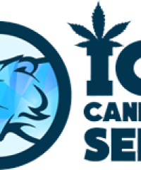 ICE Cannabis Seeds