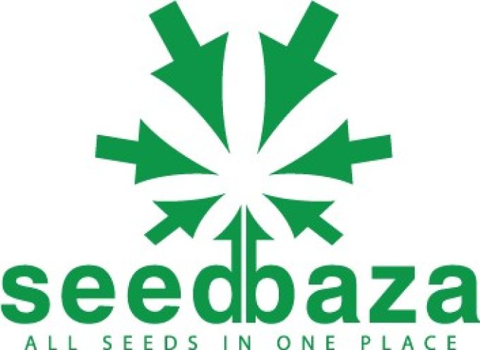 Seedbaza