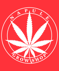 Napulè Growshop