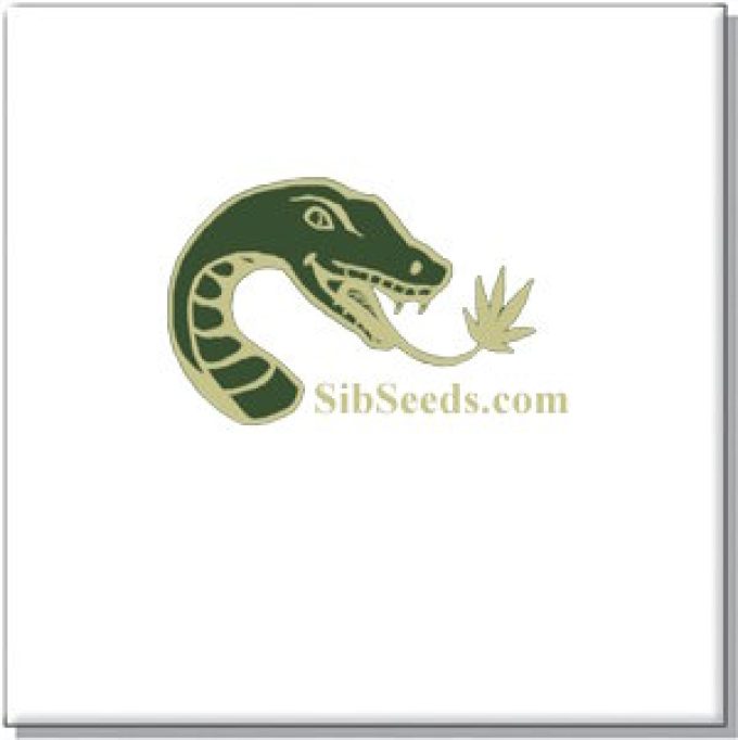 SibSeeds