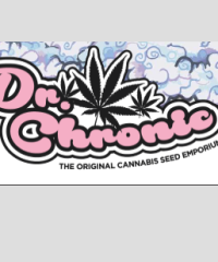 Dr Chronic