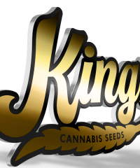 Kings Seedbank