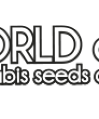 WORLD OF SEEDS