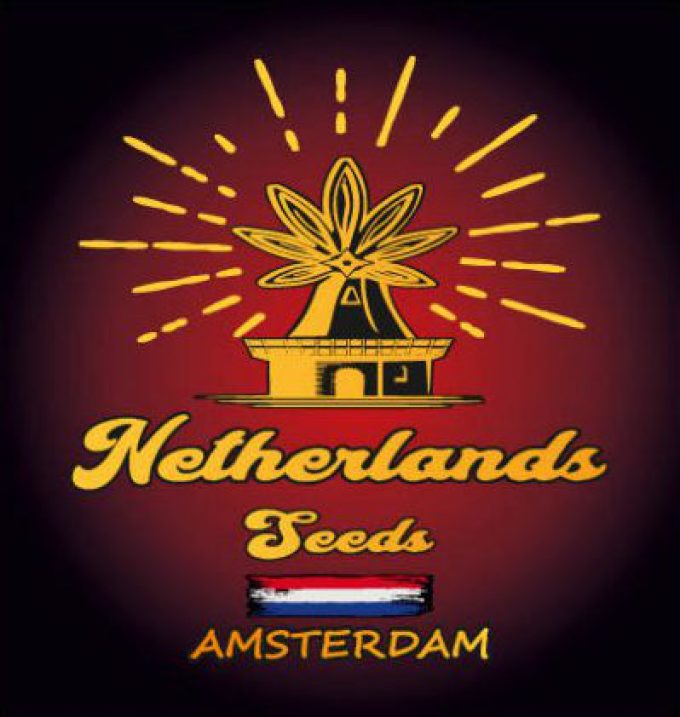 netherlands seeds