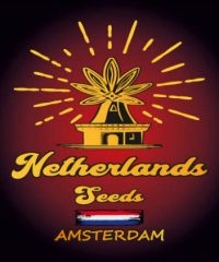 netherlands seeds