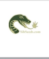 SibSeeds