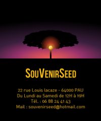 Souvenir seed Pau
