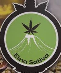 Etna Sativa