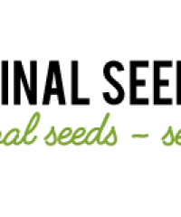 Original Seeds Store