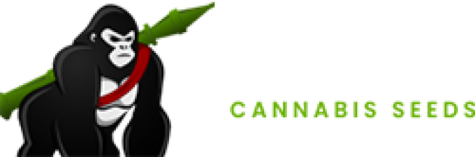Gorilla Cannabis Seeds