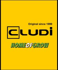 Cludi