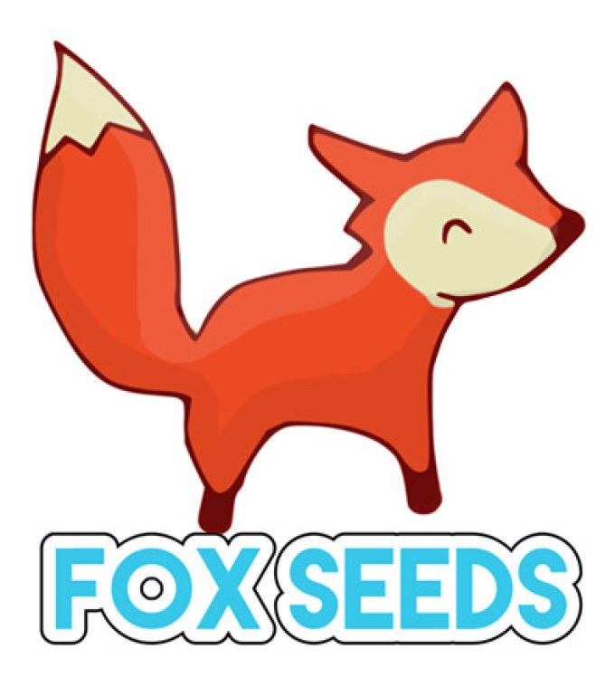 Foxseeds Lille